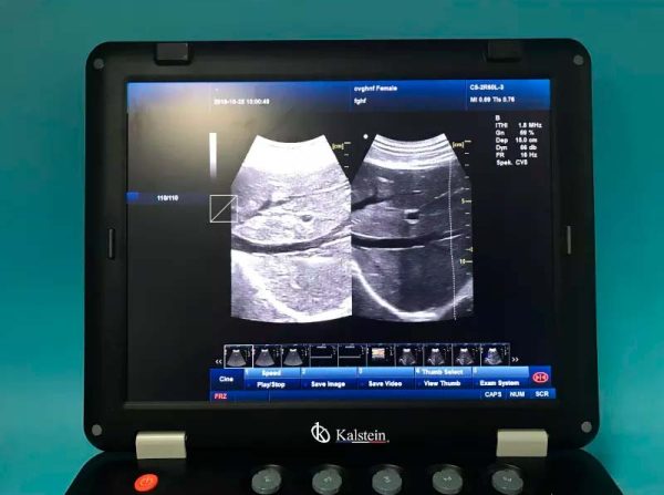 Máquina de ultrasonido THI médica 3D de 128 elementos a la venta con sonda convexa YR05148 - Imagen 3
